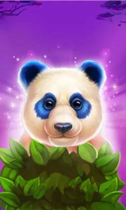 Luck of Panda: Bonus Combo
